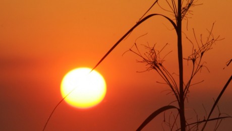 sunset2