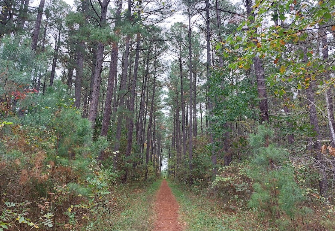 Second Sunday Hikes